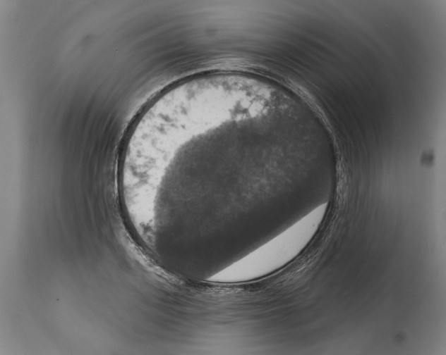 X0000114580939200911161306