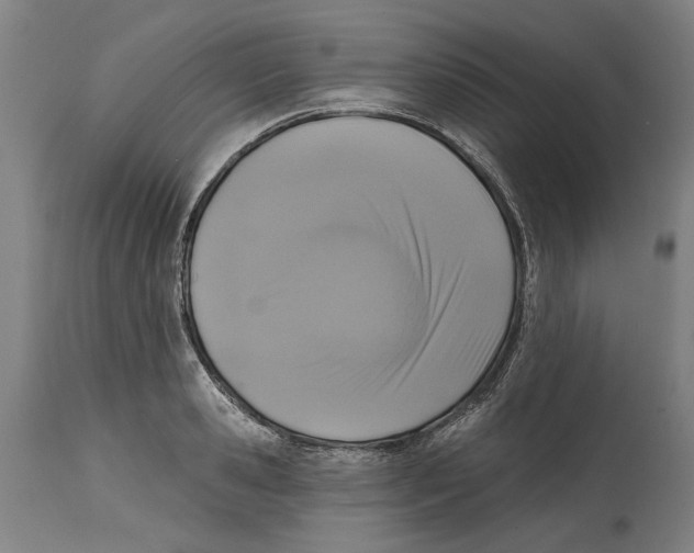 X0000114580941200911161306