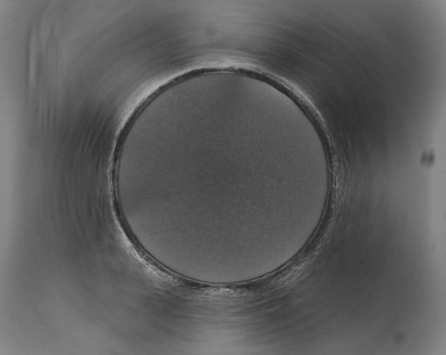 X0000114580943200911161306