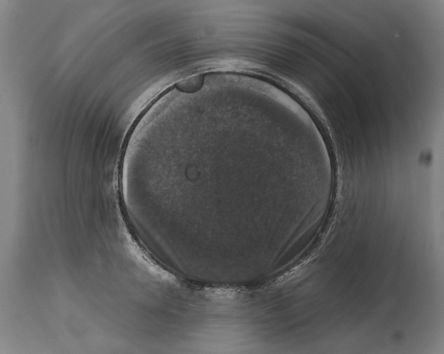 X0000114580946200911161306