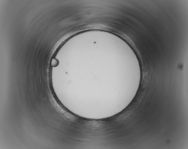 X0000114580947200911161306