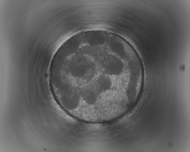 X0000114580949200911161306