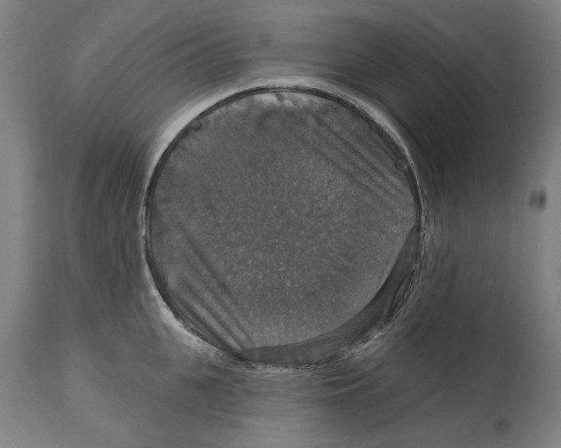 X0000114580951200911161306