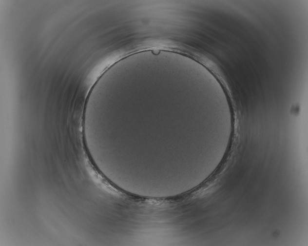 X0000114580954200911161306