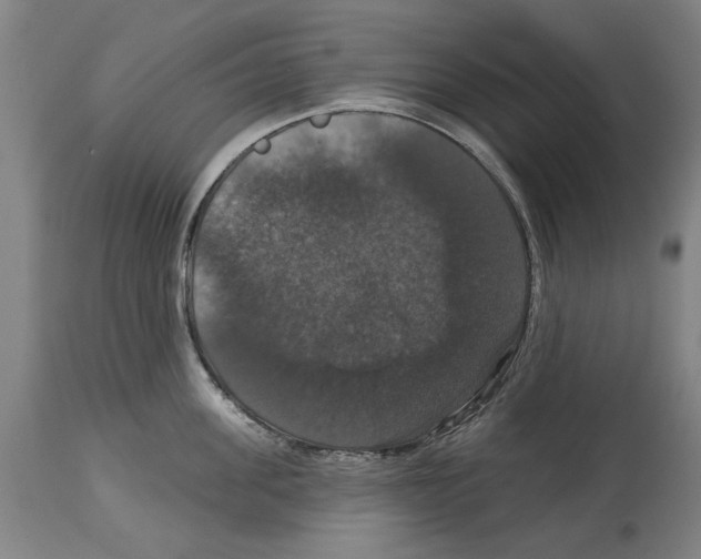 X0000114580955200911161306