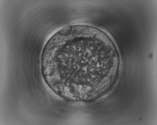 X0000114580957200911161306