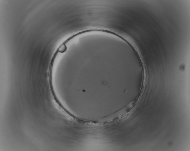 X0000114580958200911161306