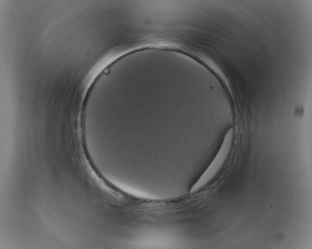 X0000114580959200911161306