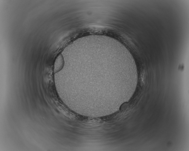 X0000114580964200911161306