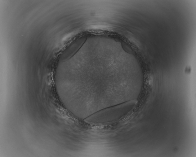 X0000114580965200911161306