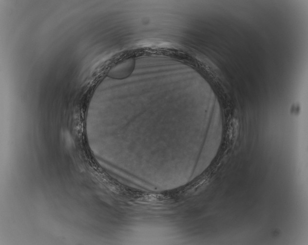 X0000114580966200911161306