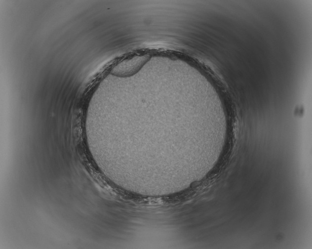 X0000114580968200911161306