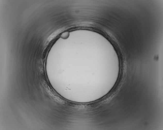 X0000114580970200911161305