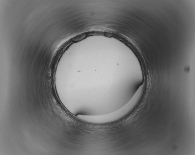 X0000114580971200911161305