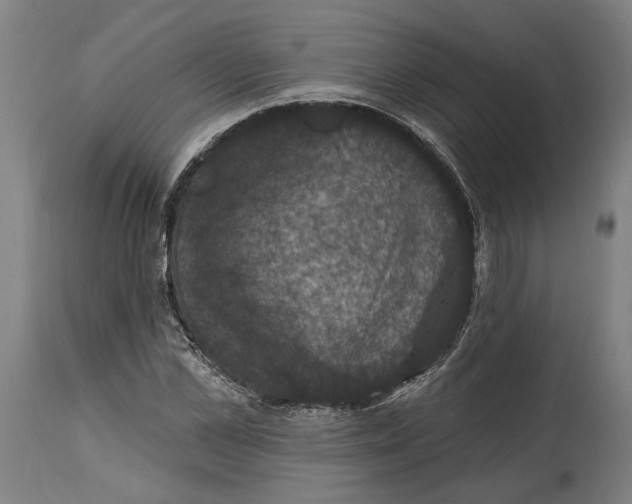 X0000114580973200911161305