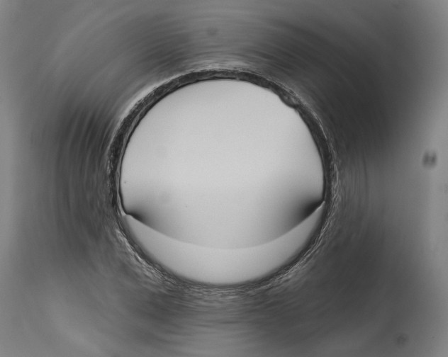 X0000114580975200911161305