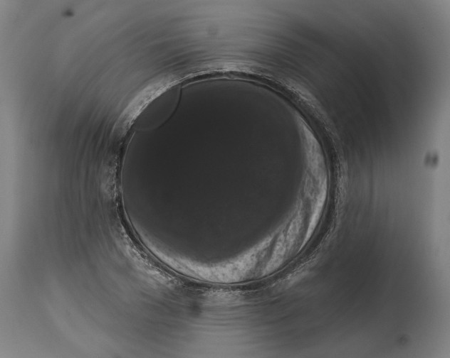 X0000114580977200911161305