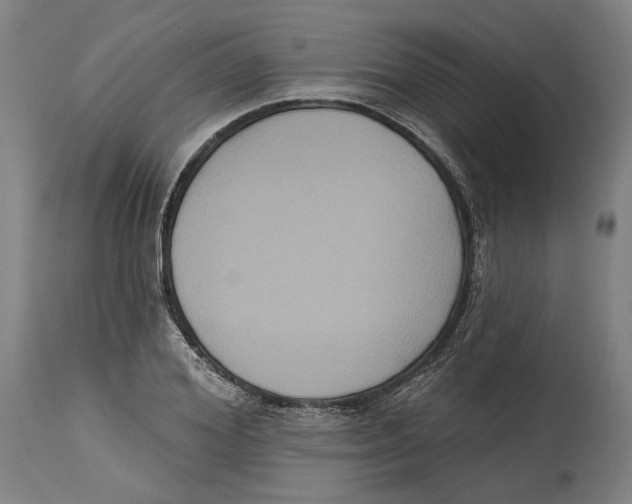 X0000114580980200911161305