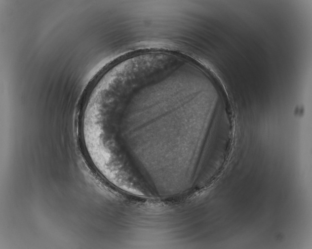 X0000114580983200911161305