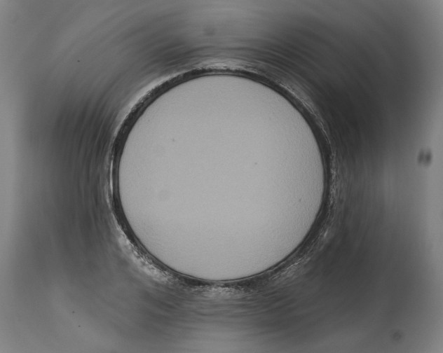 X0000114580984200911161305