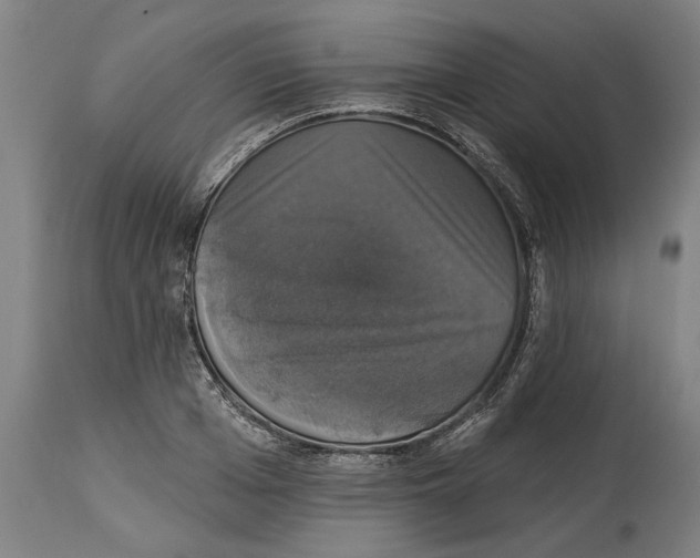 X0000114580985200911161305