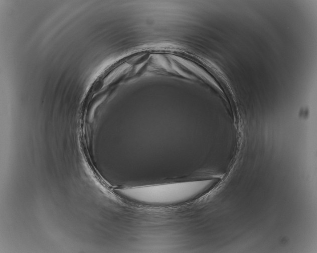 X0000114580989200911161305