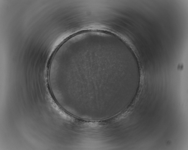 X0000114580990200911161305