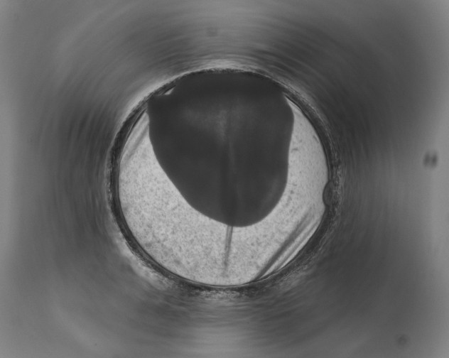 X0000114580991200911161305