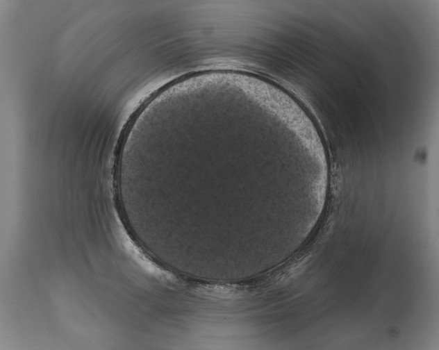 X0000114580995200911161305