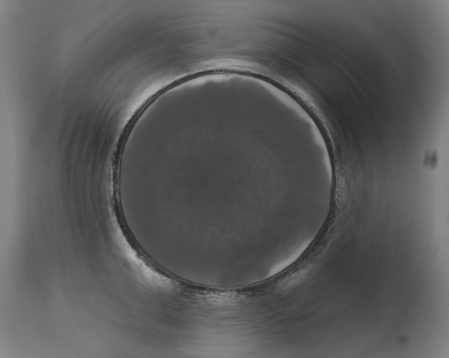 X0000114580999200911161305