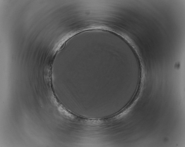 X0000114581001200911161305