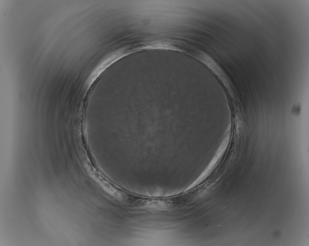 X0000114581002200911161305