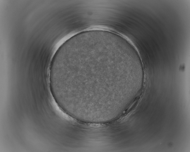 X0000114581003200911161305