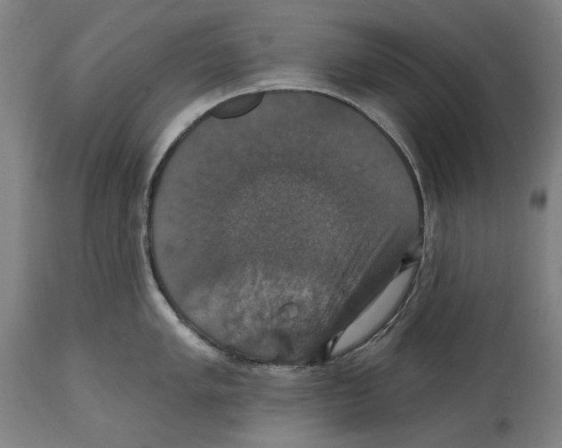 X0000114581005200911161305