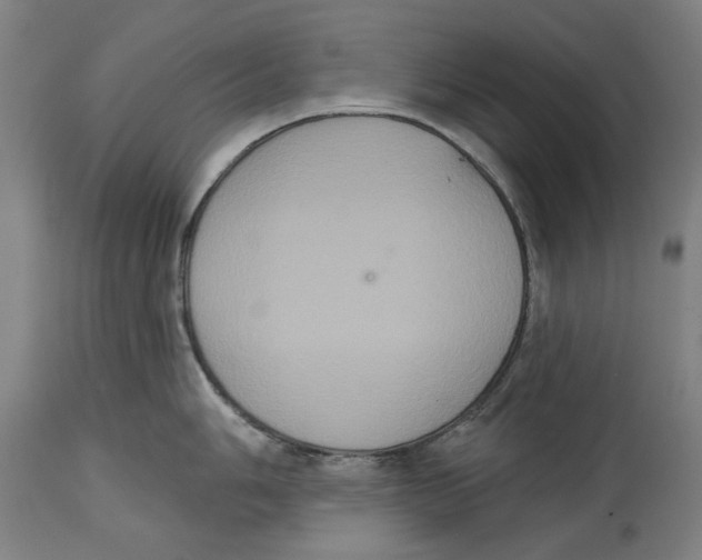 X0000114581006200911161305