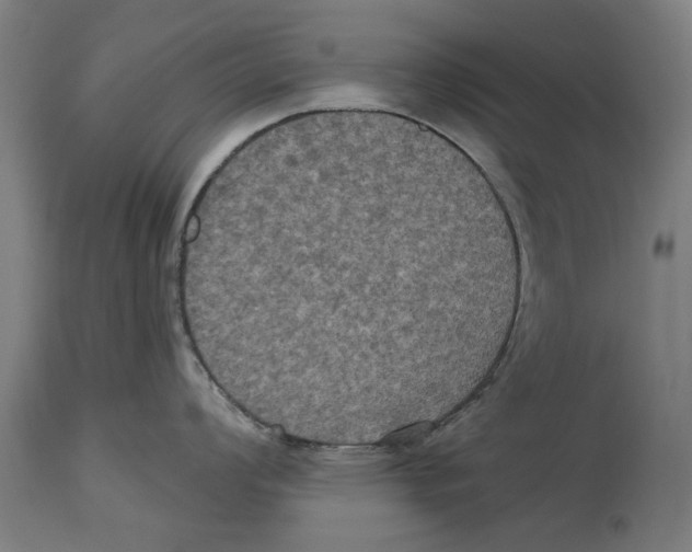 X0000114581008200911161305