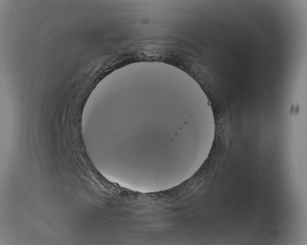 X0000114581009200911161304