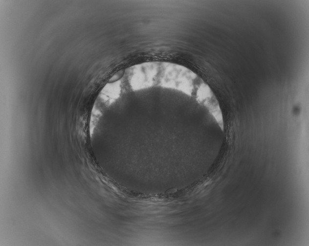 X0000114581010200911161304