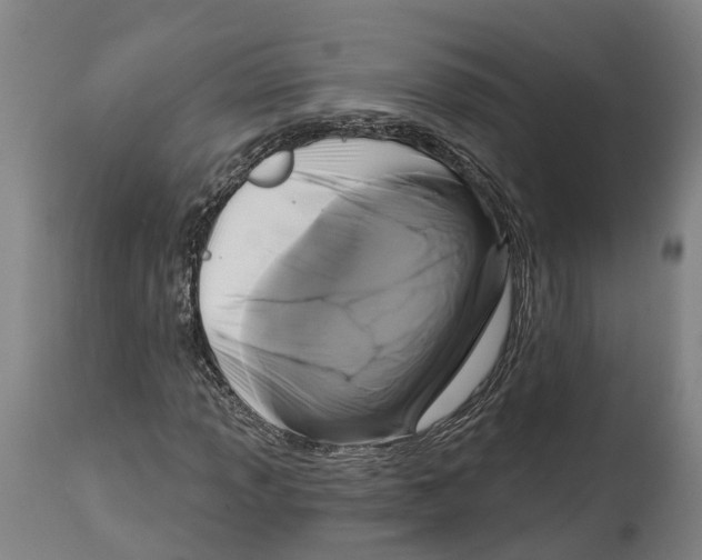 X0000114581013200911161304