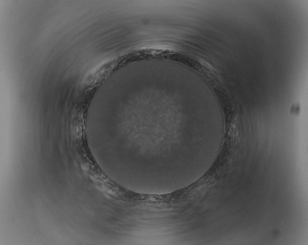 X0000114581014200911161304