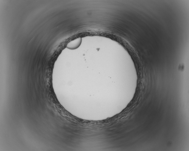 X0000114581016200911161304