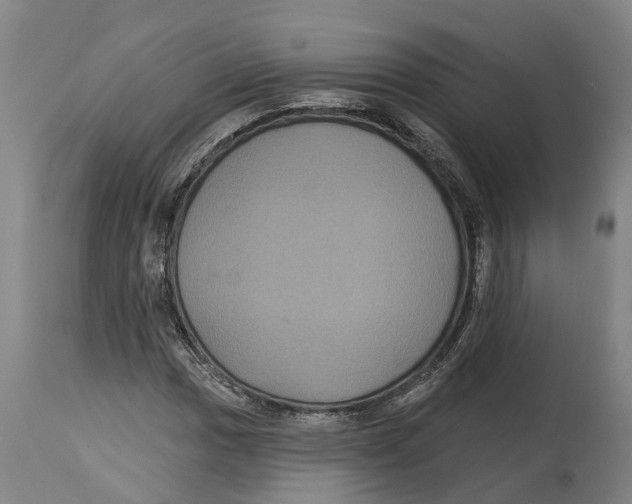 X0000114581017200911161304