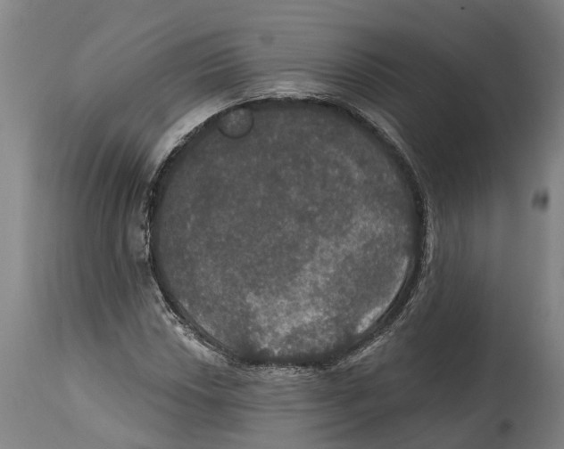 X0000114581018200911161304