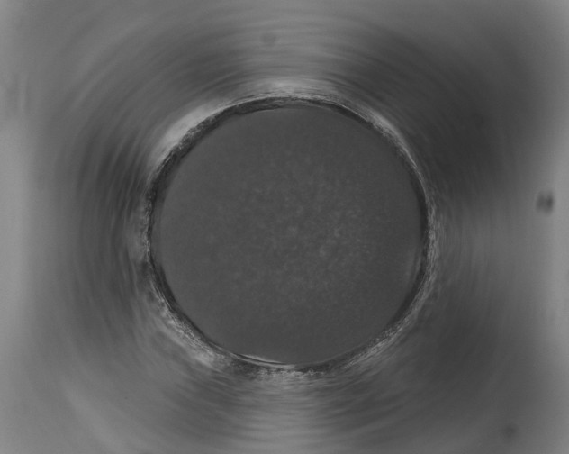 X0000114581019200911161304