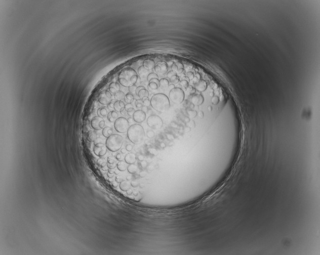 X0000114581020200911161304