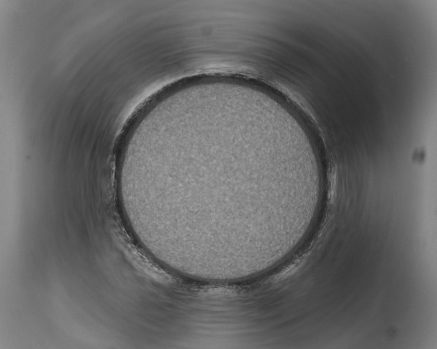 X0000114581021200911161304