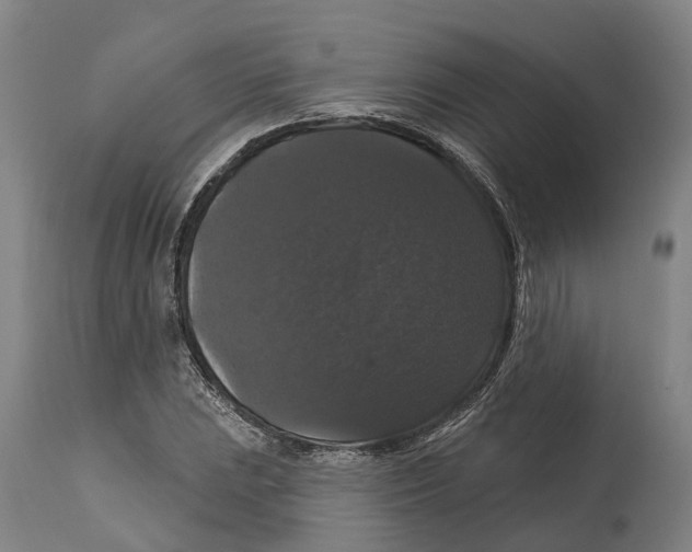 X0000114581023200911161304