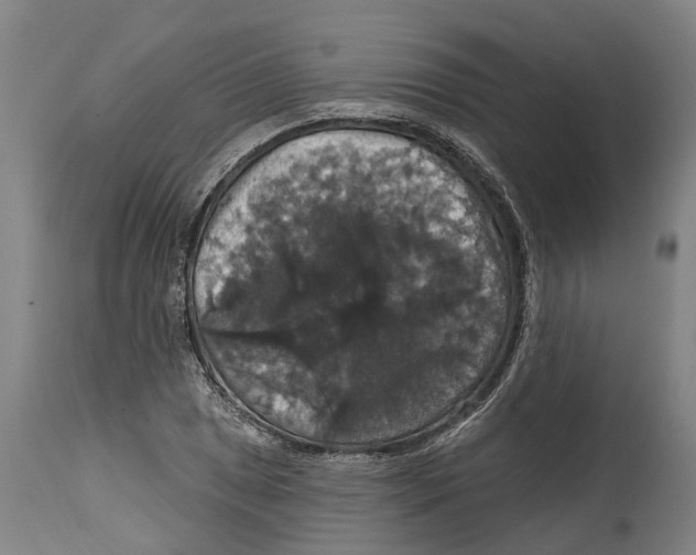 X0000114581025200911161305