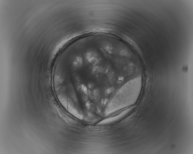 X0000114581027200911161305