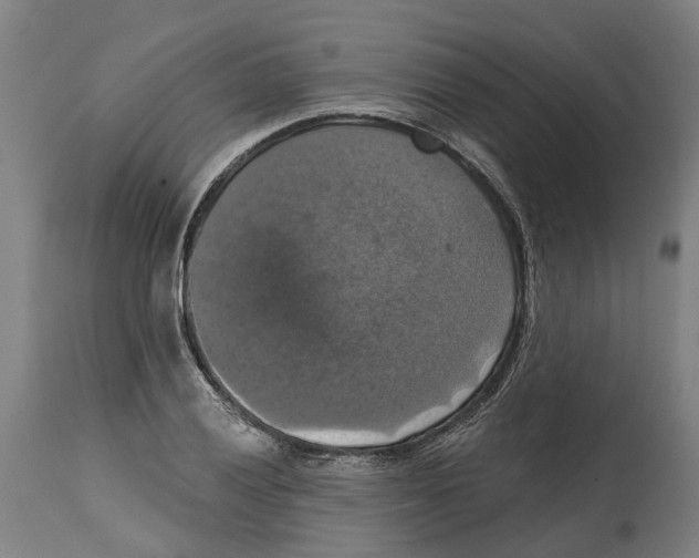 X0000114581028200911161305